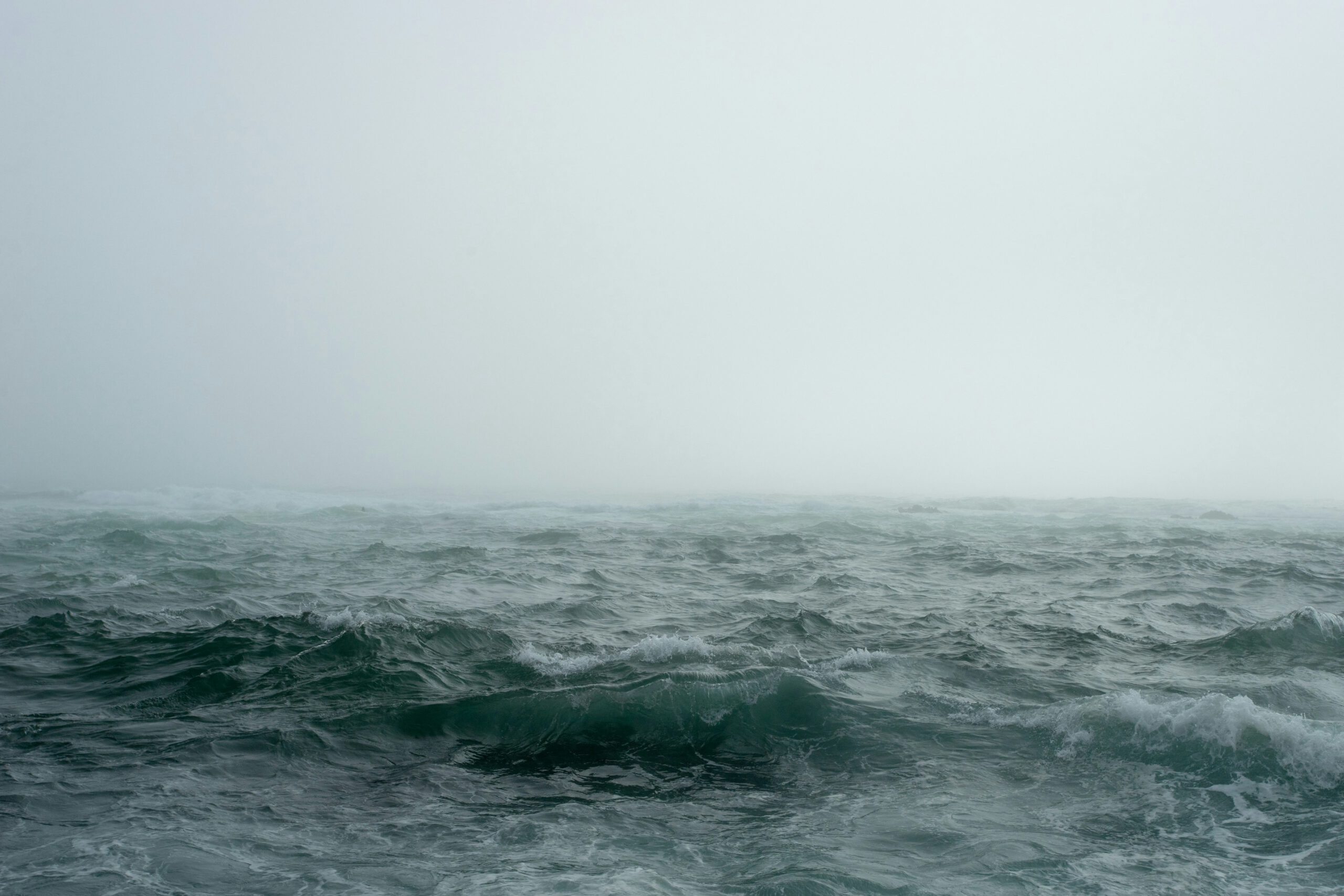 john-towner-FD_sabE544U-unsplash